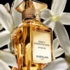 Jasmin Grandiflorum Extrait 30 – Estratto Jasmin Grandiflorum Extrait 30 – Estratto