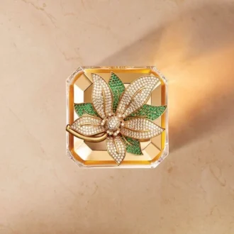 Jasmin Grandiflorum – Piatto eccezionale