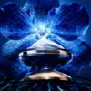 La Crema Longevity – la ricarica La Crema Longevity – la ricarica