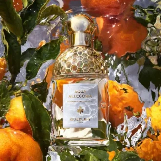 Mandarine Basilic – Eau De Toilette