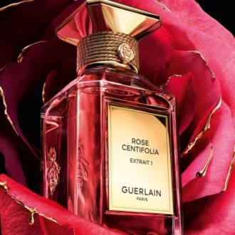 Rose Centifolia Extrait 1 – Estratto