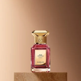 Rose Centifolia Extrait 1 – Estratto